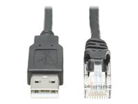 Eaton Tripp Lite Series USB to RJ45 Rollover Console Cable (M/M) - Cisco Compatible, 250 Kbps, 6 ft., Black - Seriell kabel - USB (hane) till RJ-45 (hona) - 1.83 m - dubbelt skärmad - USB 1.1 - svart U009-006-RJ45-X