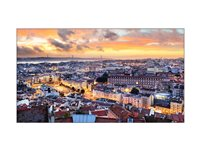 Samsung VH55C-E - 55" Diagonal klass VHB-E Series LED-bakgrundsbelyst LCD-skärm - digital skyltning - 1080p 1920 x 1080 - svart LH55VHCEBGBXEN