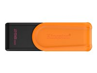 Kingston DataTraveler Exodia S - USB flash-enhet - 256 GB - USB 3.2 Gen 1 DTXS/256GB