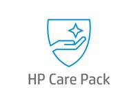 Electronic HP Care Pack - Utökat serviceavtal - underhåll - 1 år - på platsen H4607PE