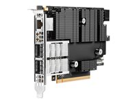 HPE InfiniBand NDR200 MCX755106AC-HEAT Adapter - Nätverksadapter - PCIe 5.0 x16 - 200Gb Ethernet / 200Gb Infiniband x 2 P65333-B21