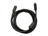Logitech - USB-kabel - USB-C (hane) till USB-C (hane) - för Rally 993-002153