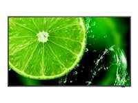 NEC MultiSync E328-2 - 32" Diagonal klass E Series LED-bakgrundsbelyst LCD-skärm - digital skyltning - 1080p 1920 x 1080 - HDR - Direct LED 60006113