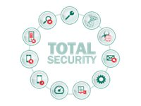 Kaspersky Total Security for Business - Nätverksuppgradering för abonnemangslicens (1 år) - 1 nod - volym - Nivå S (150-249) - Europa KL4869XASFW