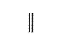 APC - Rackpanel för kabelhantering - svart - 42U - TAA-kompatibel (paket om 2) - för P/N: AR9300SP, AR9300SP-R, SMX3000HVTUS, SMX3000LVUS, SRT1000RMXLI, SRT1000RMXLI-NC AR7721