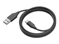 Jabra - USB-kabel - USB-C (hane) till USB typ A (hane) - USB 3.0 - 2 m - för PanaCast 50, 50 Room System 14202-10