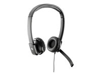 HP Business Headset - Headset - fullstorlek - kabelansluten - för HP 280 G2; EliteDesk 800 G1, 800 G2; MultiSeat t100, t150, t200; Retail System MP9 G2 QK550AA