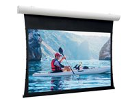 Da-Lite Tensioned Elpro Concept - Projektorduk - takmontering, väggmontering - motoriserad - 230 V - 112.99" (287 cm) - 16:9 - HD Progressive 1.1 Contrast - RAL 9016 10101025
