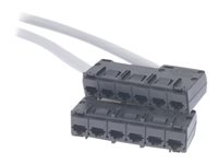 APC Data Distribution Cable - Nätverkskabel - TAA-kompatibel - RJ-45 (hona) till RJ-45 (hona) - 1.5 m - UTP - CAT 5e - stigare - grå DDCC5E-005