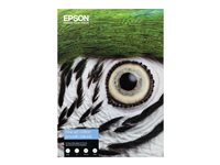 Epson Fine Art - Bomull - slät - 490 mikron - naturell - A3 Plus (329 x 483 mm) - 300 g/m² - 25 ark lumppapper - för SureColor SC-P20000, P600, P6000, P700, P7000, P800, P8000, P900, P9000 C13S450268