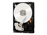 WD RE WD2000FYYZ - Hårddisk - 2 TB - inbyggd - 3.5" - SATA 6Gb/s - 7200 rpm - buffert: 64 MB - för My Cloud EX4 WD2000FYYZ