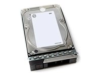 Dell - Kundsats - hårddisk - 8 TB - 512e - inbyggd - 3.5" - SAS 12Gb/s - 7200 rpm 161-BCGL